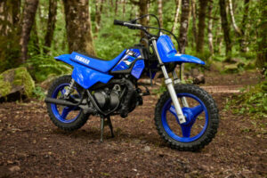 Yamaha Pw50 cc